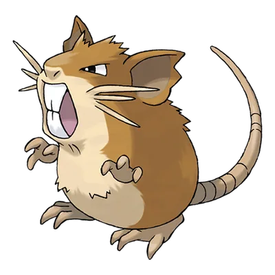 Raticate official artwork