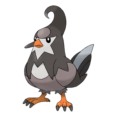 Staravia official artwork