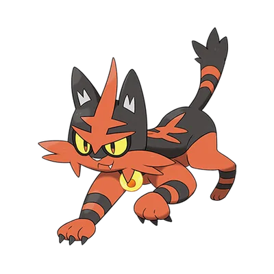 Torracat official artwork